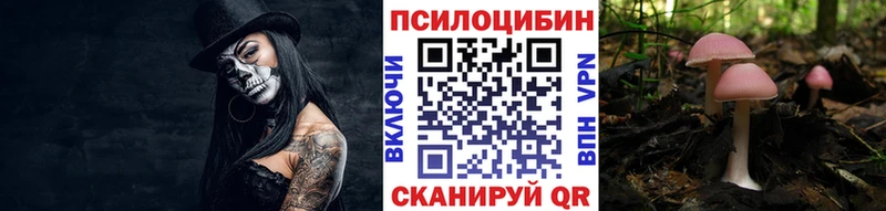 Галлюциногенные грибы Psilocybine cubensis  Адыгейск 